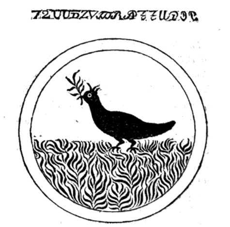 original black raven.jpg