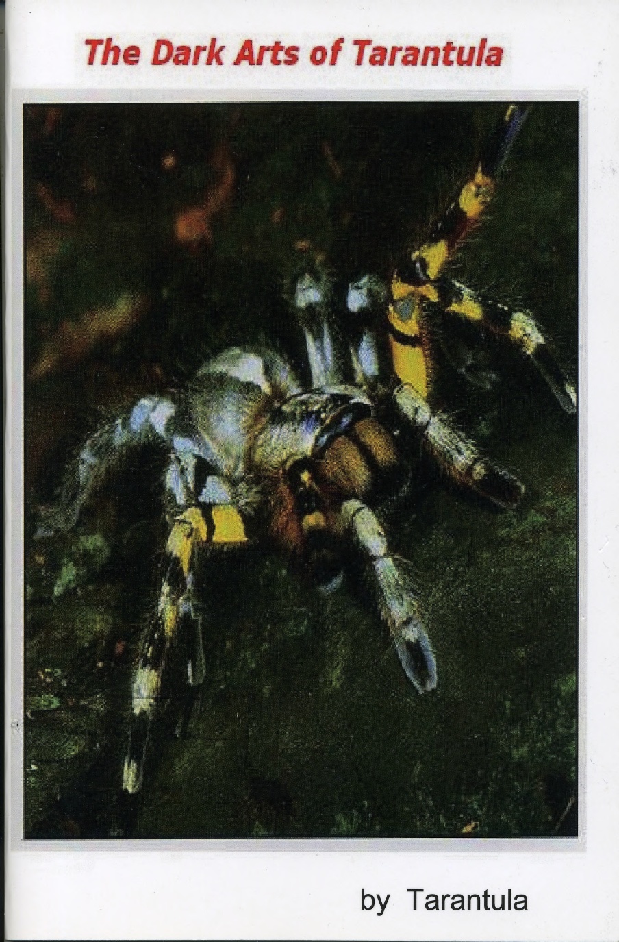 the dark arts of tarantula